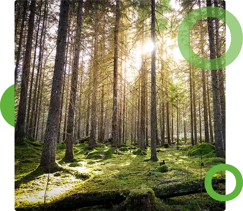 Ecolor - Ekokompassi-ympäristösertifikaatti ohjaa toimintaa
